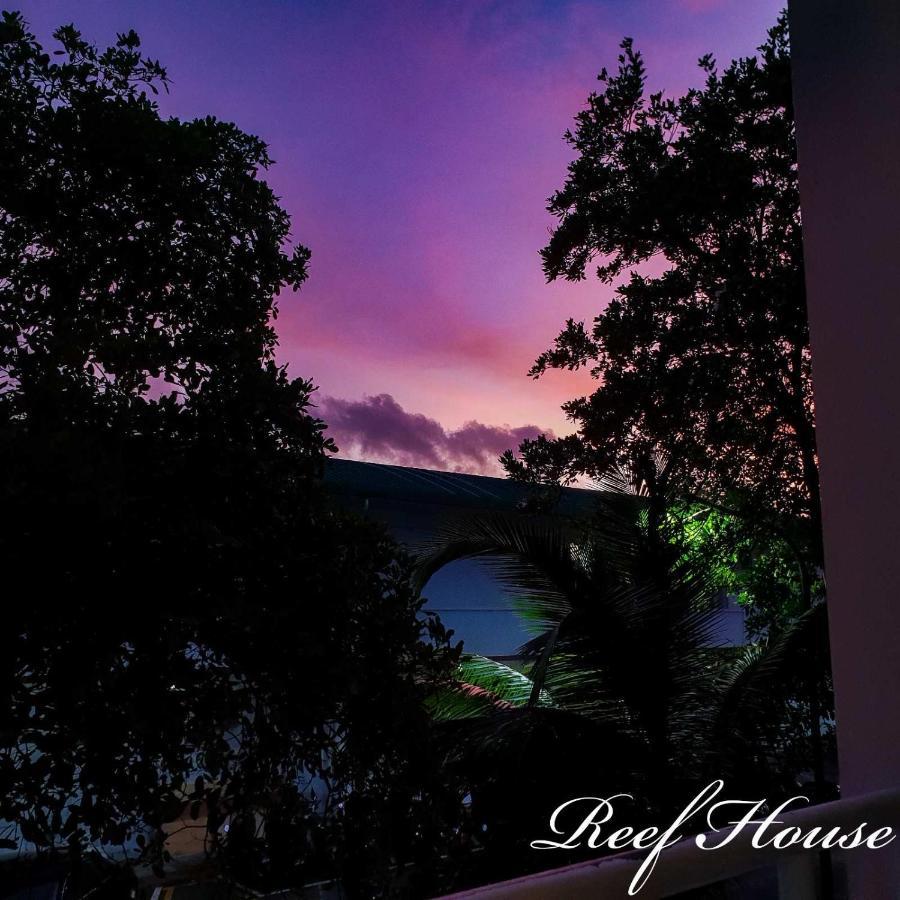 Reef Guest House Malé Eksteriør bilde