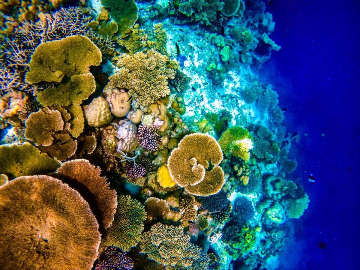 Reef Guest House Malé Eksteriør bilde